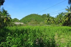 sipalay beach lot for sale