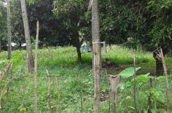 building lot for sale in dumaguete city
