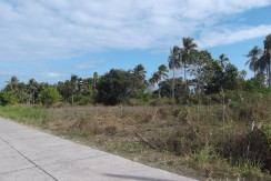 bacong farm land for sale near dumaguete city