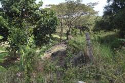 tierra alta property