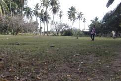 2000 sqm dauin lot for sale (11)