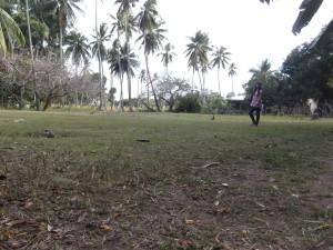 2000 sqm dauin lot for sale