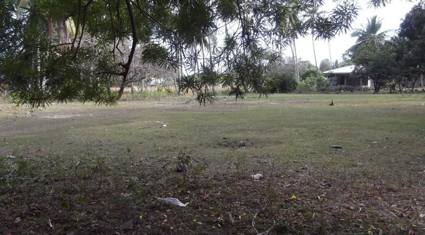 2000 sqm dauin lot for sale (12)