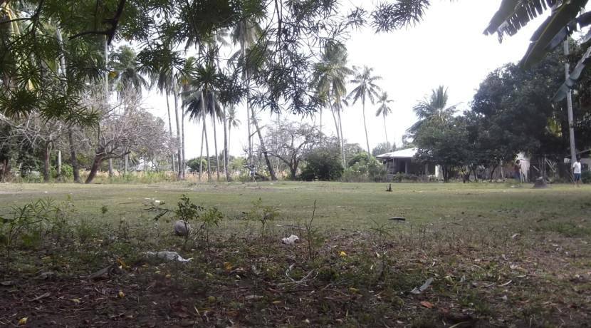 2000 sqm dauin lot for sale (13)