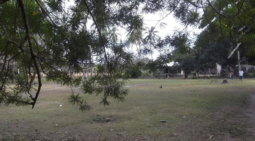 2000 sqm dauin lot for sale (14)
