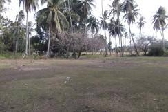 2000 sqm dauin lot for sale (15)
