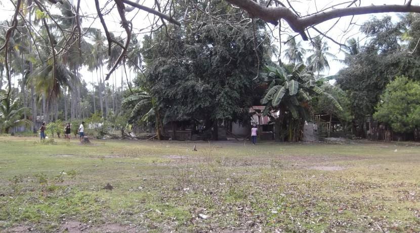 2000 sqm dauin lot for sale (16)