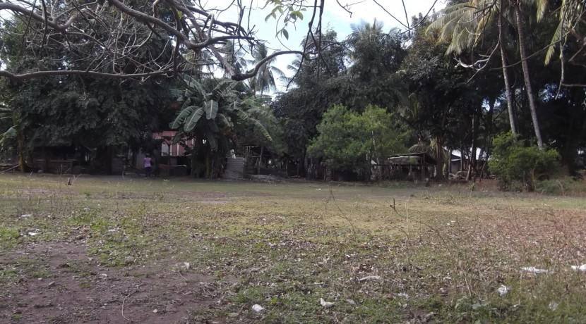 2000 sqm dauin lot for sale (18)