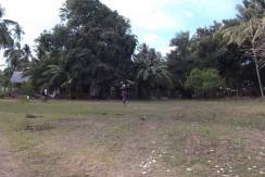 2000 sqm dauin lot for sale (19)