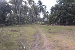 2000 sqm dauin lot for sale (20)