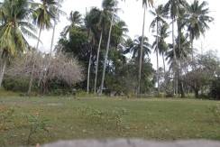 2000 sqm dauin lot for sale (3)