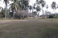 2000 sqm dauin lot for sale (9)