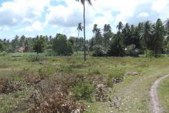 negros oriental valencia lot for sale