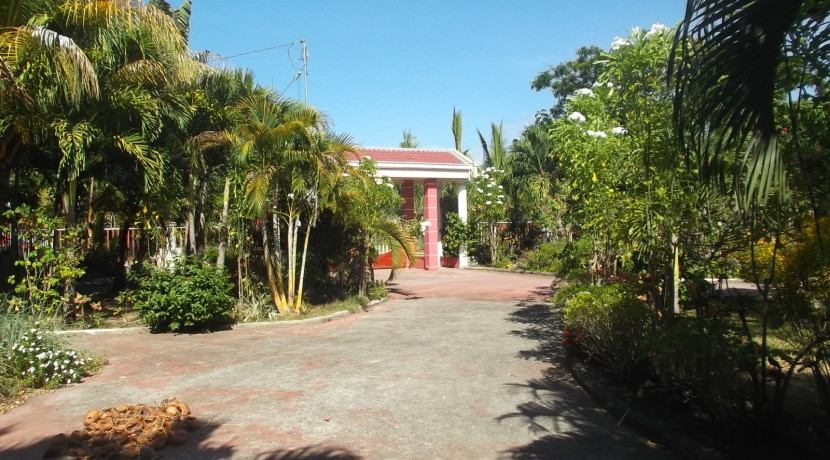 negros country mansion for sale (1)