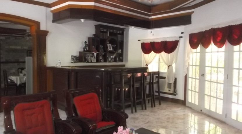 negros country mansion for sale (17)