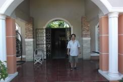 negros country mansion for sale (4)