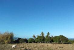 oceanview sibulan property for sale next to bravo golf course