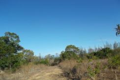 development land for sale