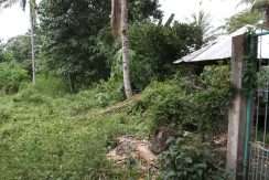 dauin-country-lot-for-sale-19