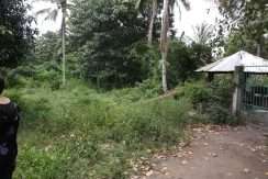 dauin-country-lot-for-sale-6