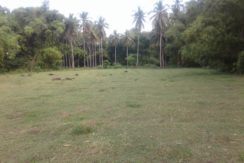 bacong property for sale