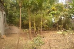 valencia negros oriental lot for sale