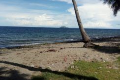 beach lot for sale in dauin negros oriental
