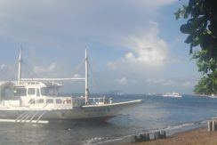 beach lot for sale in dauin