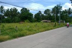 dumaguete land for sale