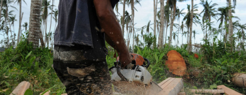 cutting trees on your own land in the philippines