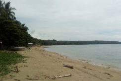 maria siquijor beach lots for sale