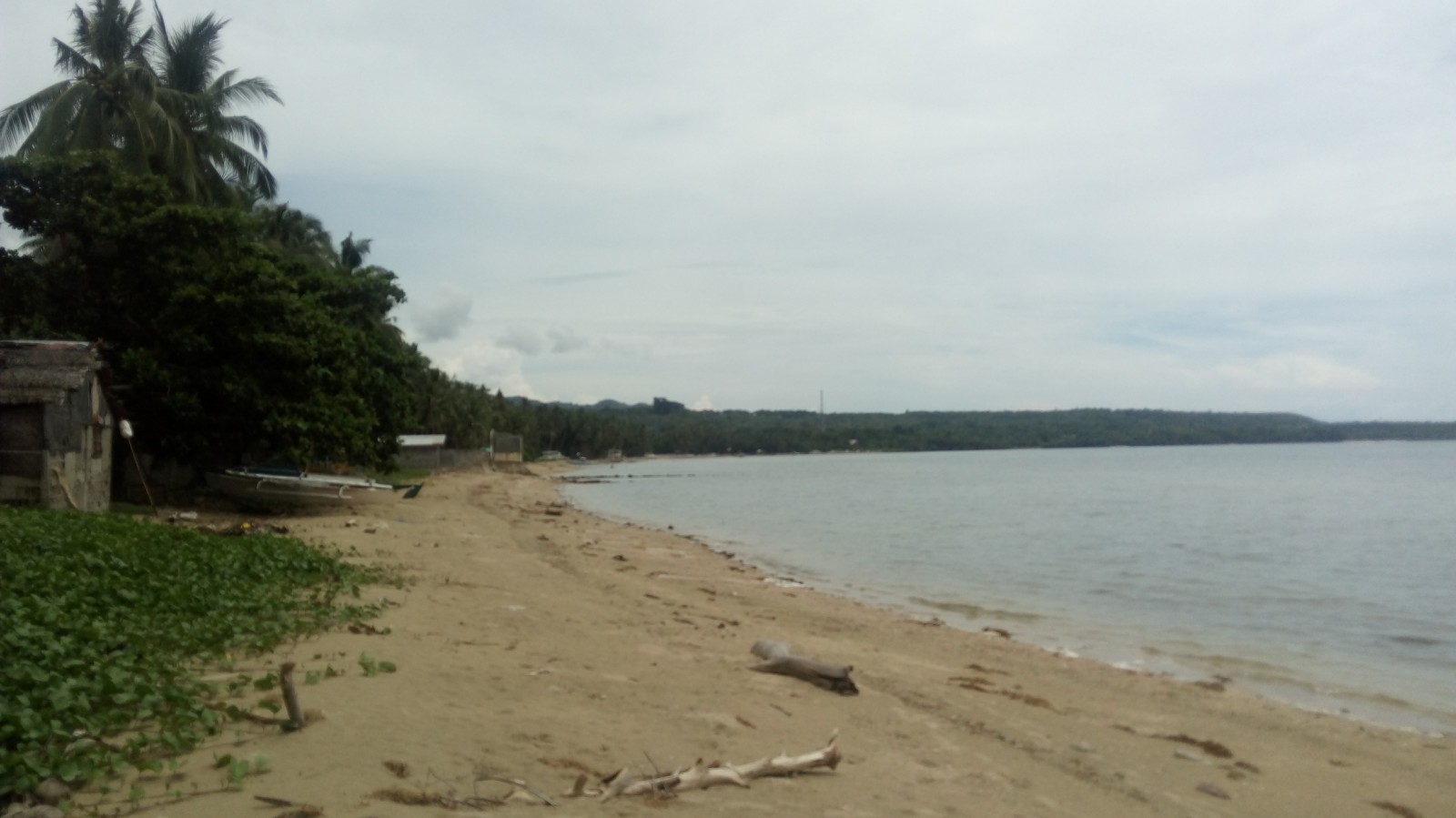 MARIA SIQUIJOR BEACH LOTS FOR SALE