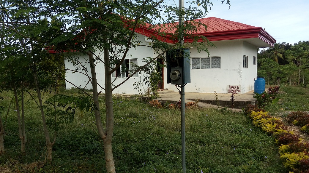 HOUSE AND LOT FOR SALE IN SIQUIJOR PhilXPat Real Estate