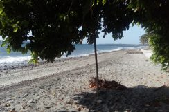 beach lot in dauin