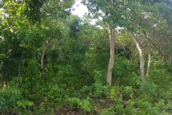 Lot for Sale Nagerong, Lazi, Siquijor (1)