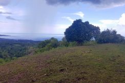 Ocean View Lot for Sale Calunasan, Maria, Siquijor (17)