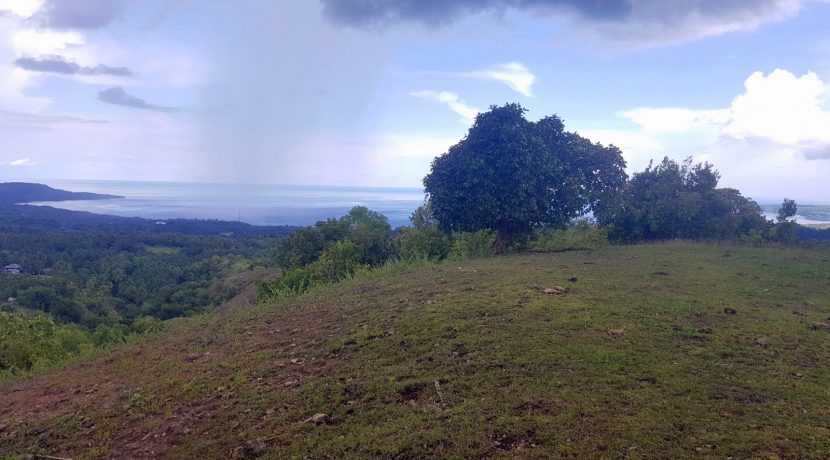 Ocean View Lot for Sale Calunasan, Maria, Siquijor (17)