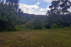 Ocean View Lot for Sale Calunasan, Maria, Siquijor (27)