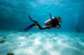 Siquijor Dive Shop Business Opportunity
