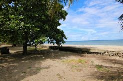 dumaguete beach front property for sale