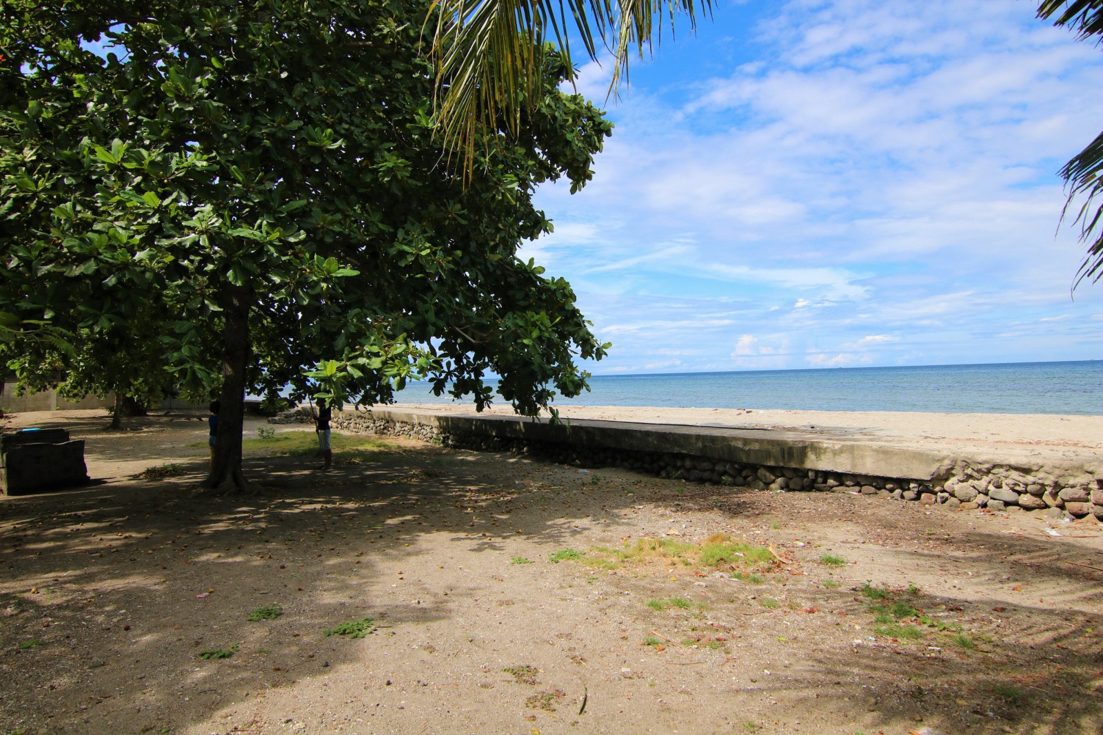 Prime Dumaguete Beach Front Property for Sale