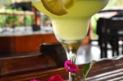 restaurants and bars for sale in dumaguete area