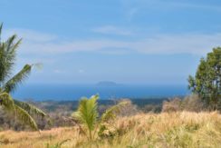 dauin ocean view lots for sale