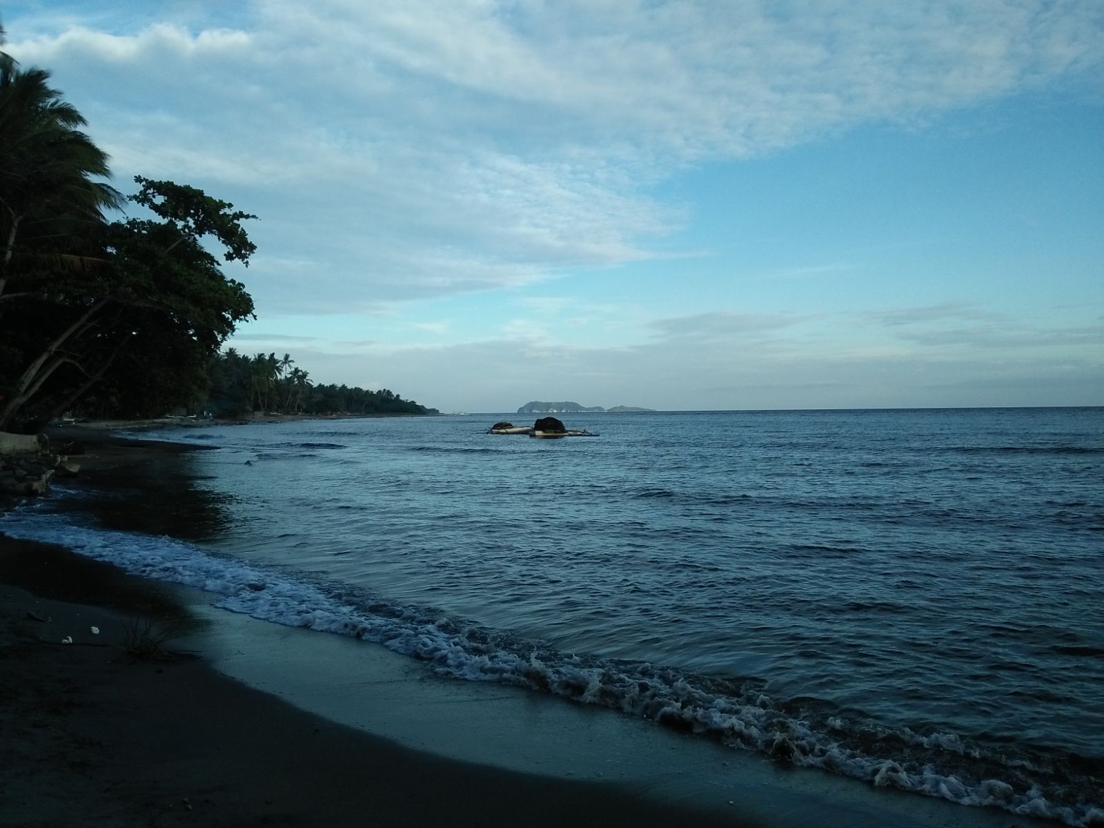 Amazing Zamboanguita Beach Lot For Sale ID#14663