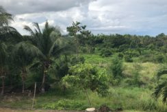 lot for sale in dauin