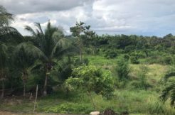 lot for sale in dauin