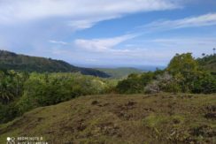 siquijor ocean-view lot for sale