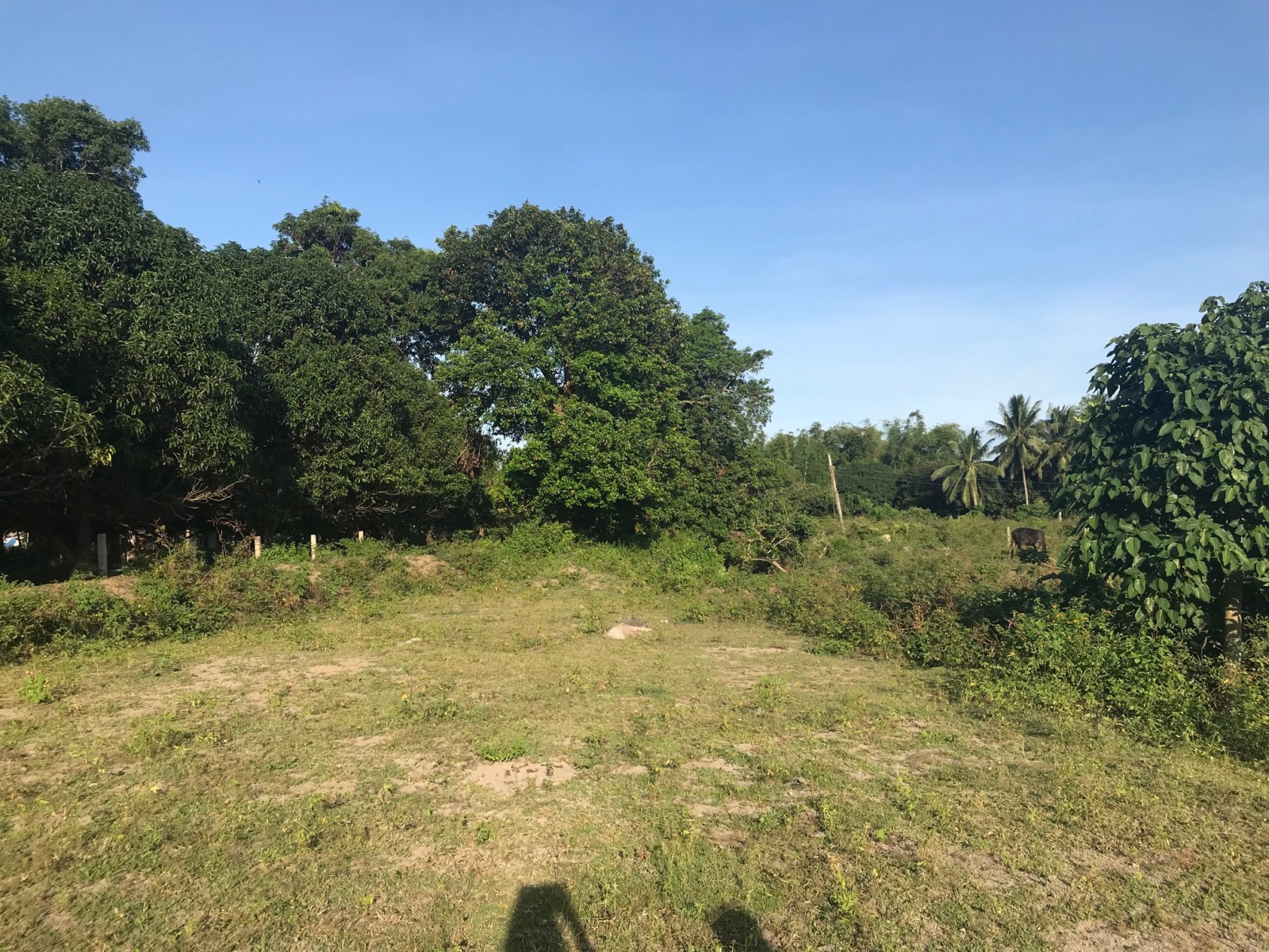 LOT FOR SALE IN BACONG ID 14731