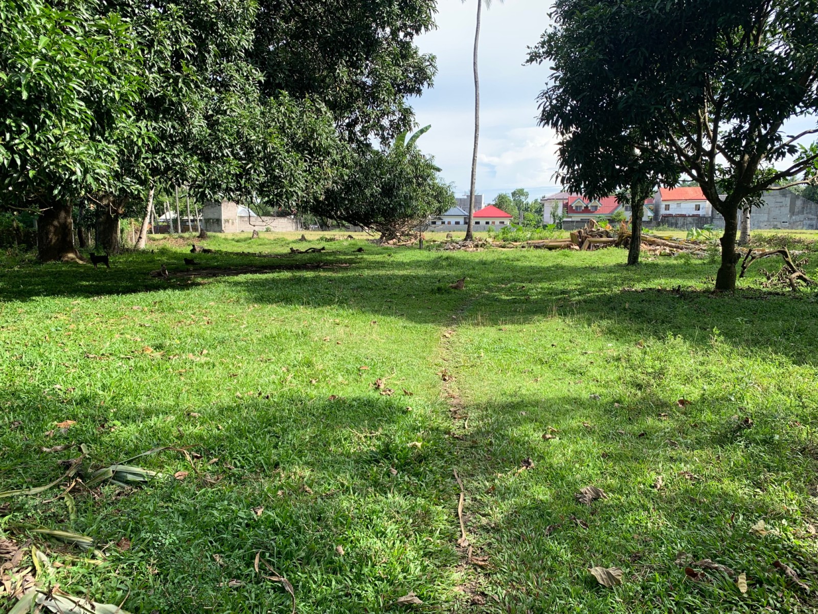 LOT FOR SALE IN DUMAGUETE CITY ID 14757