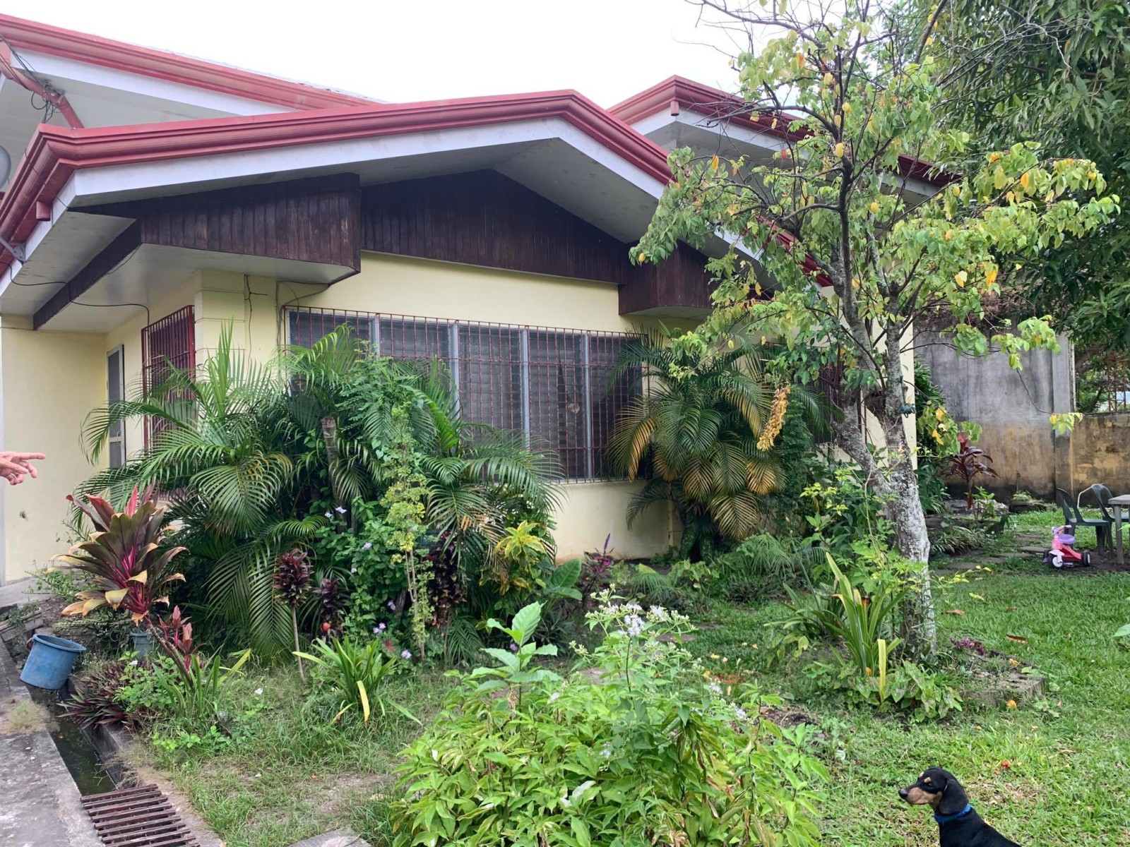 HOUSE AND LOT FOR SALE IN DUMAGUETE CITY ID 14783